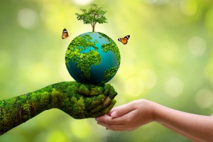 Read more about the article Environment: Nurturing Nature, Sustaining Tomorrow